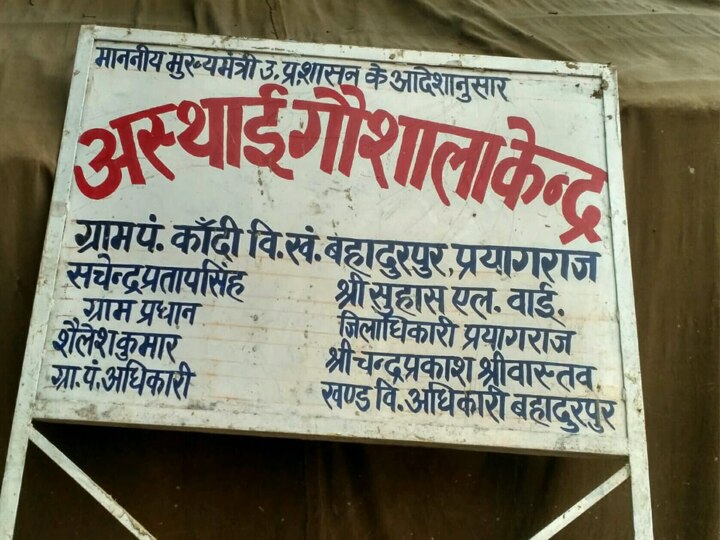 प्रयागराज में आज फिर 5 गायों की मौत, CM ने जताई नाराजगी; सभी जिलाधिकारियों से मांगी रिपोर्ट