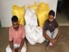 50 लाख रुपये के गांजे के साथ दो तस्कर गिरफ्तार, पुलिस ने नारकोटिक्स विभाग को दी जानकारी