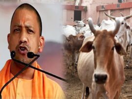 UP cow death case CM yogi adityanath suspended eight officers गोवंशों की मौत पर CM योगी सख्त, 8 अधिकारियों को किया सस्पेंड