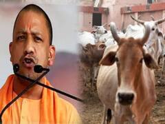 गोवंशों की मौत पर CM योगी सख्त, 8 अधिकारियों को किया सस्पेंड
