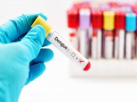 देहरादून में जारी है डेंगू के डंक का कहर, फेल होते दिख रहे हैं स्वास्थ्य विभाग के दावे dengue attack in dehradun देहरादून में जारी है डेंगू के डंक का कहर, फेल होते दिख रहे हैं स्वास्थ्य विभाग के दावे