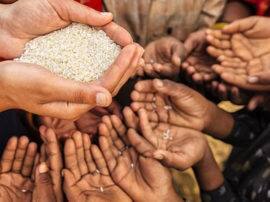 चौंकाने वाली रिपोर्ट, भूखे सोते हैं पाकिस्तान की आधी आबादी से भी ज्यादा लोग report says in pakistan more than 50 percent people are not able to manage two time meal चौंकाने वाली रिपोर्ट, भूखे सोते हैं पाकिस्तान की आधी आबादी से भी ज्यादा लोग