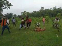 पीलीभीत: ग्रामीणों द्वारा बाघिन की हत्या के बाद प्रशासन सख्त, आरोपियों को खिलाफ एफआईआर दर्ज