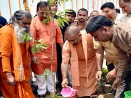 August revolution now be converted into green revolution In UP 22 million trees will be planted in 9 August योगी सरकार की अगस्त क्रांति को हरित क्रांति में बदलने की तैयारी, तोड़ेंगे अखिलेश सरकार का ये रिकॉर्ड