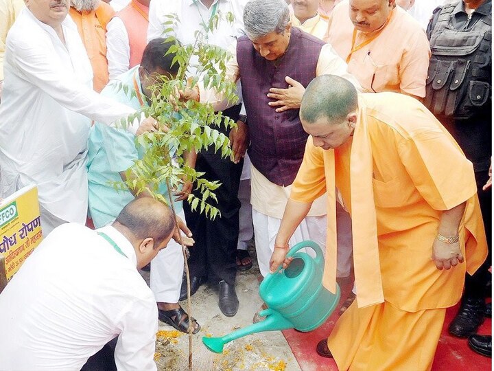 योगी सरकार की अगस्त क्रांति को हरित क्रांति में बदलने की तैयारी, तोड़ेंगे अखिलेश सरकार का ये रिकॉर्ड