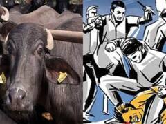 मुजफ्फरनगर: भैंस चुराने के मामले में जूनियर इंजीनियर गिरफ्तार, लोगों ने की जमकर धुनाई