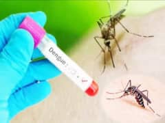 देहरादून में डेंगू ने ली एक महिला की जान, मौत पर उठ रहे सवाल; बरतें ये एहतियात