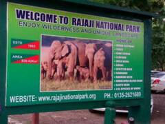 राजाजी पार्क में हाथियों को रेल दुर्घटना से बचाएगा एडवांस एनिमल डिटेक्शन सिस्टम, जानें- क्या है खास