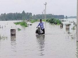 UP government preparing plan to fight with flood situation उप्र के बाढ़ प्रभावित जिलों में आपदा से निपटने के लिए नौजवानों को किया जायेगा प्रशिक्षित