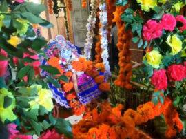 narendra modi and yogi adityanath wishes on the occasion of Janmastami 2019 देशभर में जन्माष्टमी की धूम, पीएम मोदी और सीएम योगी ने भी दी बधाई