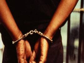 UP STF team arrested five member of group who supply illegal arms यूपी एसटीएफ को बड़ी कामयाबी, अवैद्य हथियार सप्लाई करनेवाले गिरोह का भंड़ाफोड़