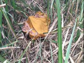 The body parts has been cut in hapur कब्र से बाहर निकालकर महिला के शव के साथ हैवानियत, काट दिए हाथ-पैर