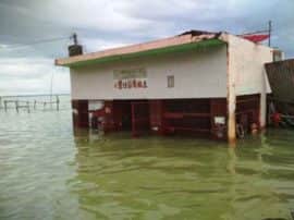 प्रयागराज में उफान पर गंगा-यमुना से तबाही, सड़कों पर चल रही हैं नाव yamuna and ganga river increased flood in prayagraj प्रयागराज में उफान पर गंगा-यमुना से तबाही, सड़कों पर चल रही हैं नाव