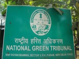 NGT strict on Noida builder for violation enviroment norms नोएडा के बिल्डर की अवैध भूजल निकासी की जांच के लिए एनजीटी ने पैनल बनाया