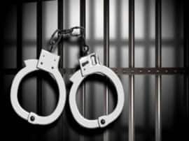 noida police arrested criminals नोएडा पुलिस ने शातिर लुटेरों को किया गिरफ्तार, अवैध हथियार के साथ लाखों की नकदी बरामद