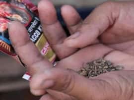 जानिए किस ग्रह के कारण पड़ती है तंबाकू और गुटखा खाने की लत Planet situation responsible for Tobacco and Gutkha Addiction ABP Ganga जानिए किस ग्रह के कारण पड़ती है तंबाकू और गुटखा खाने की लत