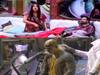 Bigg Boss 13: टास्क के लिए कुछ भी करेंगा, Kiss को लेकर घर में लगी शर्तें