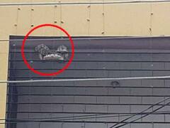 घर में घुसने के चक्कर में फंस गया अजगर, तमाशबीनों की लगी भीड़- देखें तस्वीरें Varanasi News