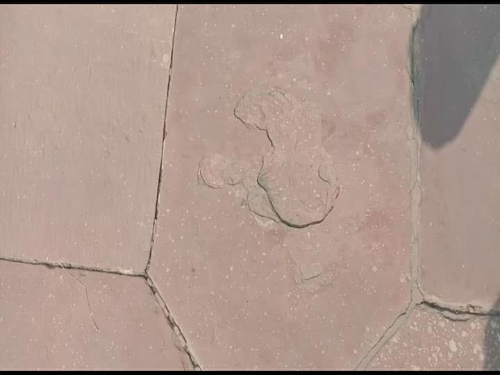 दुनिया की सबसे खूबसूरत इमारत ताजमहल के चमेली फर्श का होगा कायाकल्प, बदले जाएंगे पत्थर