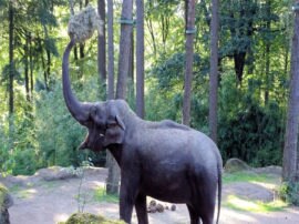 Wild Elephant Attack On villagers two died जंगली हाथी ने दो लोगों को उतारा मौत के घाट, ग्रामीणों ने वन विभाग की टीम और डीएफओ को बनाया बंधक Haridwar News
