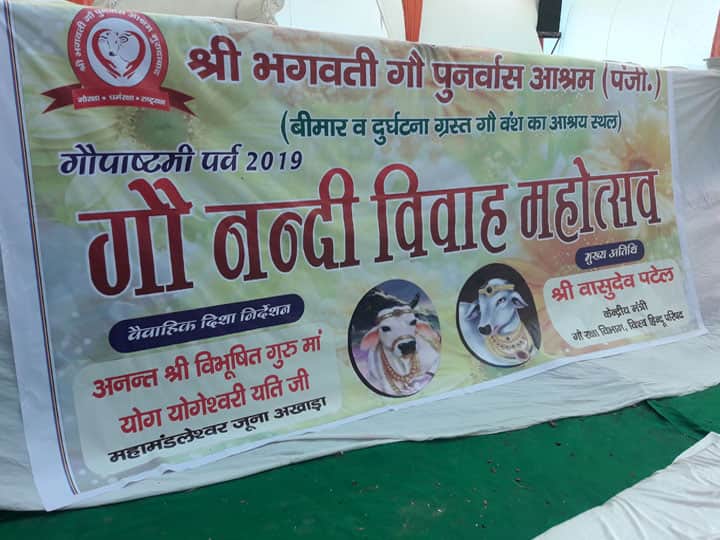 विवाह के बंधन में बंधे कृष्ण प्यारी और नंदी, अनोखी शादी के बारे में जानने के लिए करें क्लिक Moradabad News